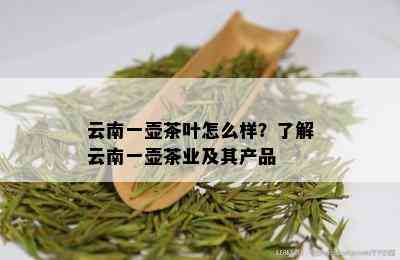 云南一壶茶叶怎么样？了解云南一壶茶业及其产品