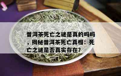 普洱茶死亡之谜是真的吗吗，揭秘普洱茶死亡真相：死亡之谜是否真实存在？