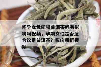 怀孕女性能喝普洱茶吗有影响吗视频，孕期女性是否适合饮用普洱茶？影响解析视频