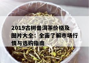 2019古树普洱茶价格及图片大全：全面了解市场行情与选购指南