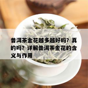 普洱茶金花越多越好吗？真的吗？详解普洱茶金花的含义与作用