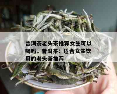 普洱茶老头茶推荐女生可以喝吗，普洱茶：适合女生饮用的老头茶推荐