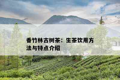 香竹林古树茶：生茶饮用方法与特点介绍