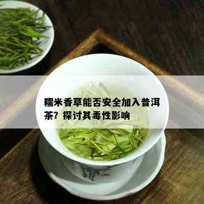 糯米香草能否安全加入普洱茶？探讨其性影响