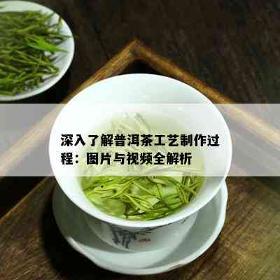 深入了解普洱茶工艺制作过程：图片与视频全解析