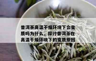 普洱茶高温干燥环境下会变质吗为什么，探讨普洱茶在高温干燥环境下的变质原因