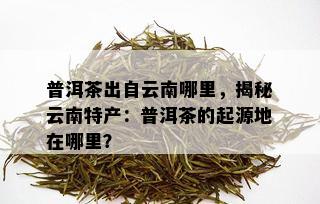 普洱茶出自云南哪里，揭秘云南特产：普洱茶的起源地在哪里？