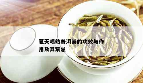 夏天喝熟普洱茶的功效与作用及其禁忌