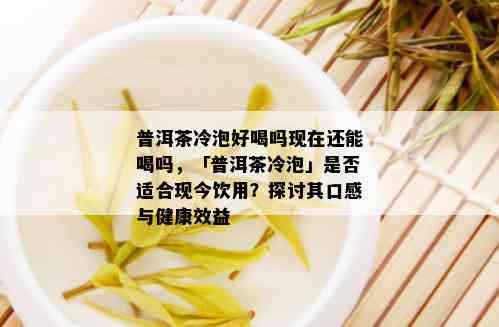 普洱茶冷泡好喝吗现在还能喝吗，「普洱茶冷泡」是否适合现今饮用？探讨其口感与健康效益