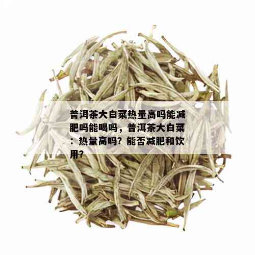 普洱茶大白菜热量高吗能减肥吗能喝吗，普洱茶大白菜：热量高吗？能否减肥和饮用？