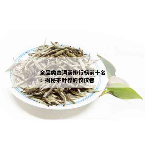 全品类普洱茶排行榜前十名：揭秘茶叶界的佼佼者