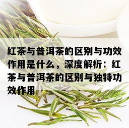 红茶与普洱茶的区别与功效作用是什么，深度解析：红茶与普洱茶的区别与独特功效作用