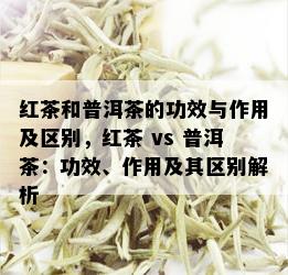 红茶和普洱茶的功效与作用及区别，红茶 vs 普洱茶：功效、作用及其区别解析