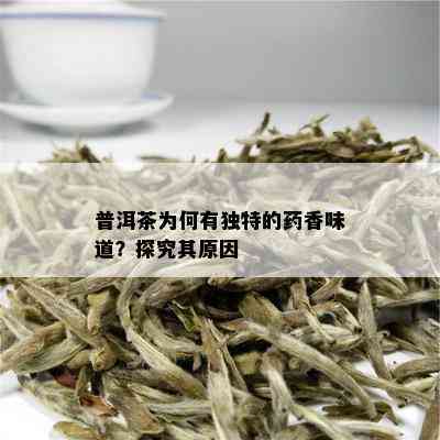 普洱茶为何有独特的药香味道？探究其原因