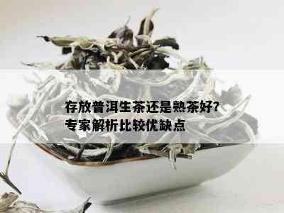 存放普洱生茶还是熟茶好？专家解析比较优缺点