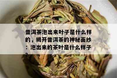 普洱茶泡出来叶子是什么样的，揭开普洱茶的神秘面纱：泡出来的茶叶是什么样子？