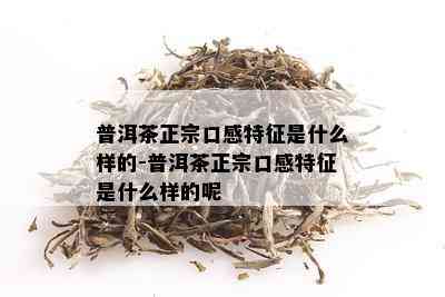 普洱茶正宗口感特征是什么样的-普洱茶正宗口感特征是什么样的呢