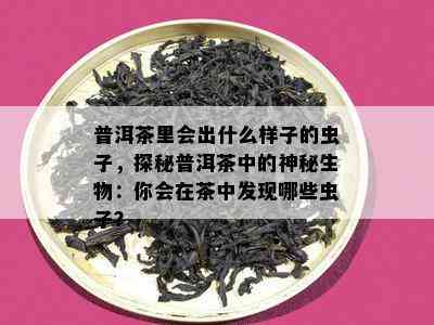 普洱茶里会出什么样子的虫子，探秘普洱茶中的神秘生物：你会在茶中发现哪些虫子？