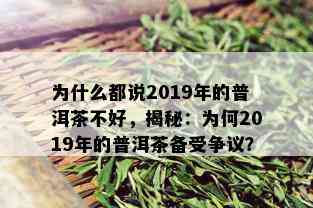 为什么都说2019年的普洱茶不好，揭秘：为何2019年的普洱茶备受争议？