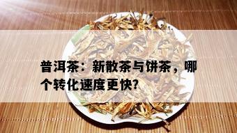 普洱茶：新散茶与饼茶，哪个转化速度更快？