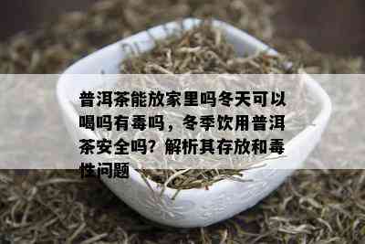 普洱茶能放家里吗冬天可以喝吗有吗，冬季饮用普洱茶安全吗？解析其存放和性问题