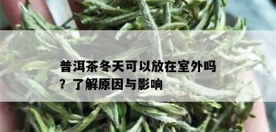 普洱茶冬天可以放在室外吗？了解原因与影响