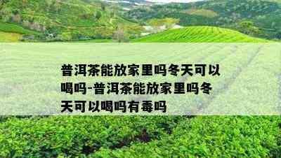 普洱茶能放家里吗冬天可以喝吗-普洱茶能放家里吗冬天可以喝吗有吗