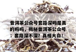 普洱茶公众号套路深吗是真的吗吗，揭秘普洱茶公众号：套路深不深？真相大白！