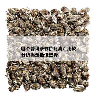 哪个普洱茶性价比高？比较分析揭示更佳选择