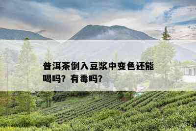 普洱茶倒入豆浆中变色还能喝吗？有吗？