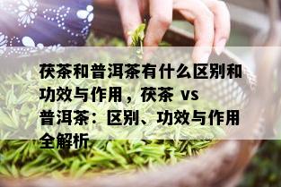 茯茶和普洱茶有什么区别和功效与作用，茯茶 vs 普洱茶：区别、功效与作用全解析