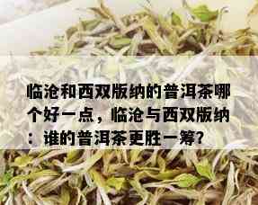 临沧和西双版纳的普洱茶哪个好一点，临沧与西双版纳：谁的普洱茶更胜一筹？