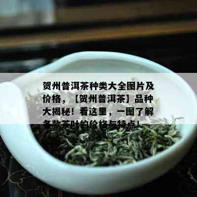 贺州普洱茶种类大全图片及价格，【贺州普洱茶】品种大揭秘！看这里，一图了解各款茶叶的价格与特点！