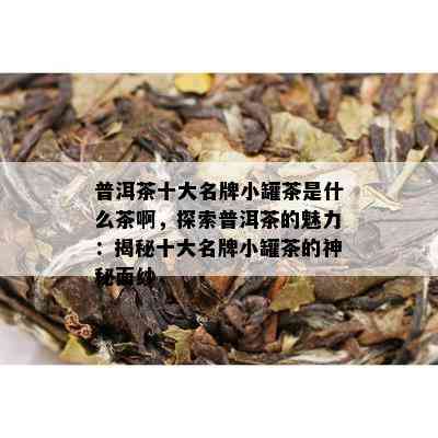 普洱茶十大名牌小罐茶是什么茶啊，探索普洱茶的魅力：揭秘十大名牌小罐茶的神秘面纱