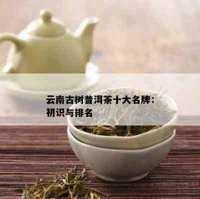 云南古树普洱茶十大名牌：初识与排名