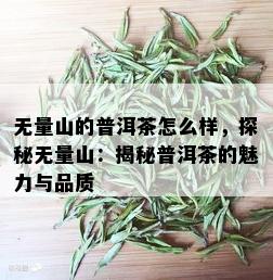 无量山的普洱茶怎么样，探秘无量山：揭秘普洱茶的魅力与品质