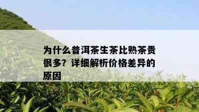 为什么普洱茶生茶比熟茶贵很多？详细解析价格差异的原因