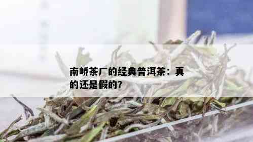 南峤茶厂的经典普洱茶：真的还是假的？