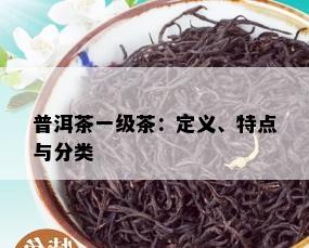 普洱茶一级茶：定义、特点与分类