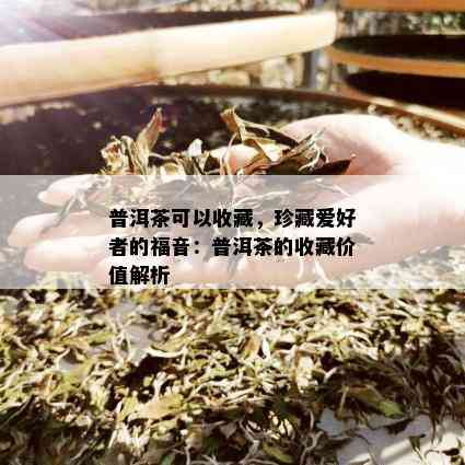 普洱茶可以收藏，珍藏爱好者的福音：普洱茶的收藏价值解析