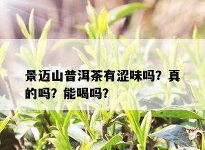 景迈山普洱茶有涩味吗？真的吗？能喝吗？