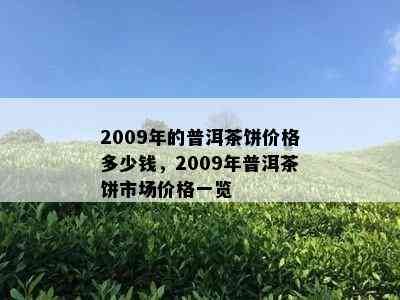 2009年的普洱茶饼价格多少钱，2009年普洱茶饼市场价格一览