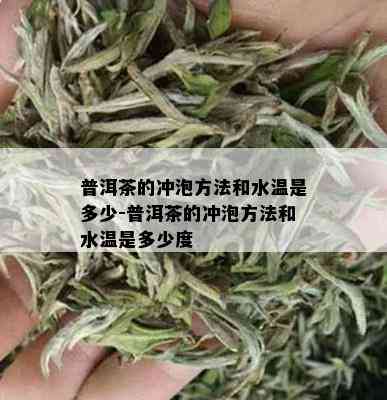 普洱茶的冲泡方法和水温是多少-普洱茶的冲泡方法和水温是多少度