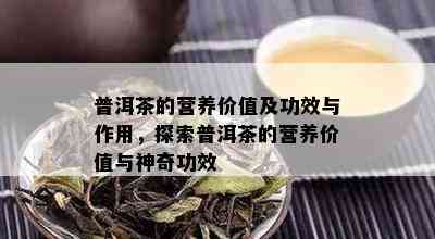 普洱茶的营养价值及功效与作用，探索普洱茶的营养价值与神奇功效