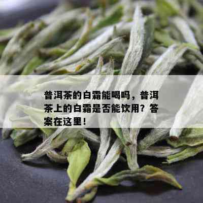 普洱茶的白霜能喝吗，普洱茶上的白霜是否能饮用？答案在这里！