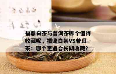 福鼎白茶与普洱茶哪个值得收藏呢，福鼎白茶VS普洱茶：哪个更适合长期收藏？