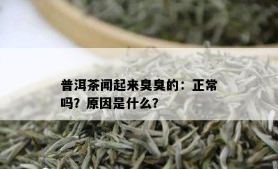 普洱茶闻起来臭臭的：正常吗？原因是什么？