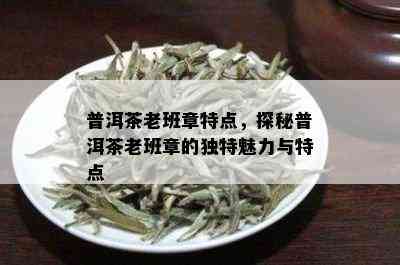 普洱茶老班章特点，探秘普洱茶老班章的独特魅力与特点