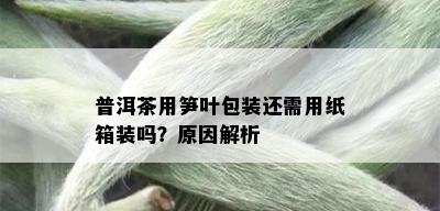 普洱茶用笋叶包装还需用纸箱装吗？原因解析