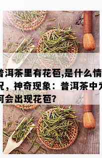 普洱茶里有花苞,是什么情况，神奇现象：普洱茶中为何会出现花苞？